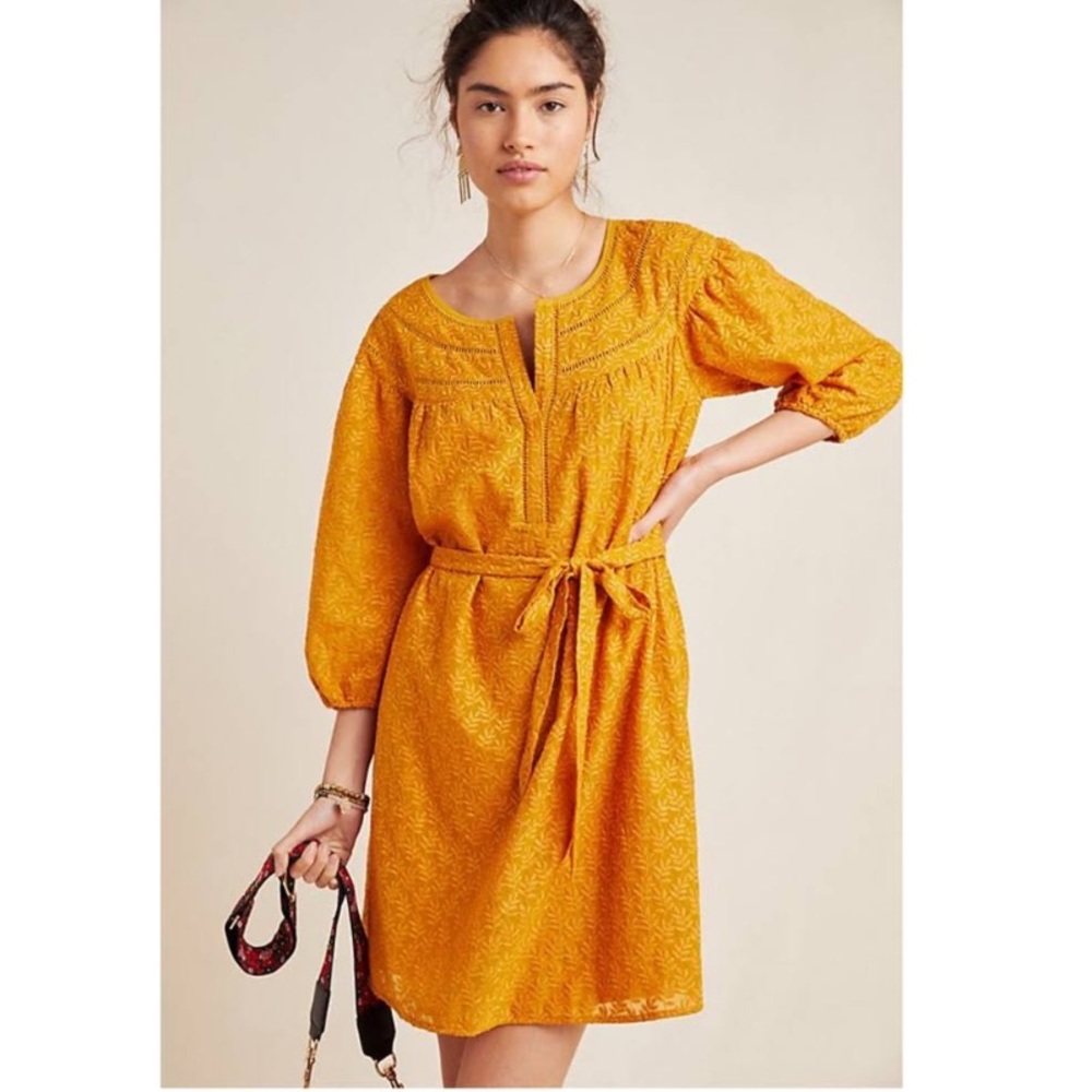 Anthropologie Daniel Rainn Treva Embroidered Dress